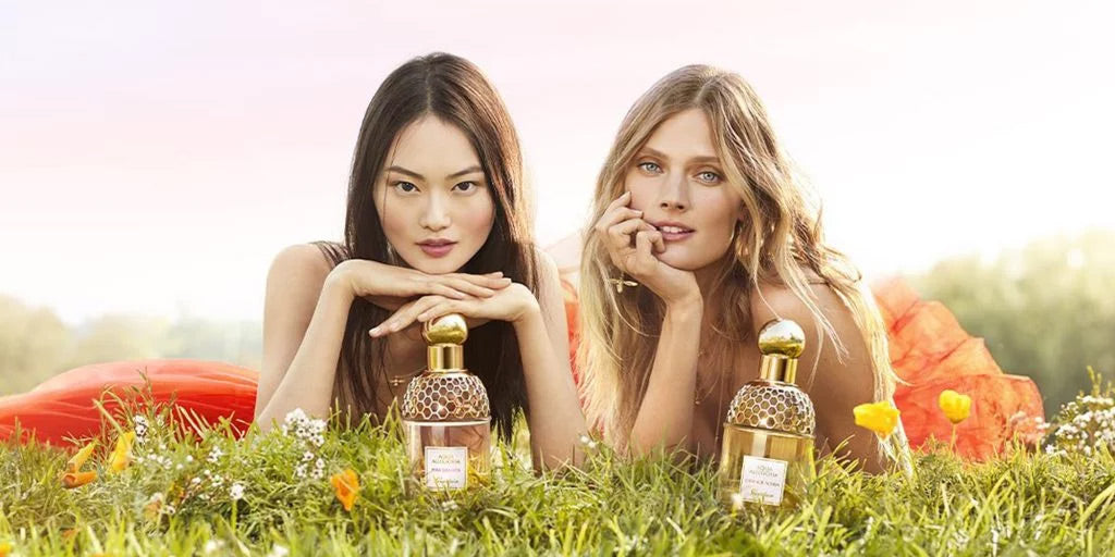 Womens Perfume Collection Header