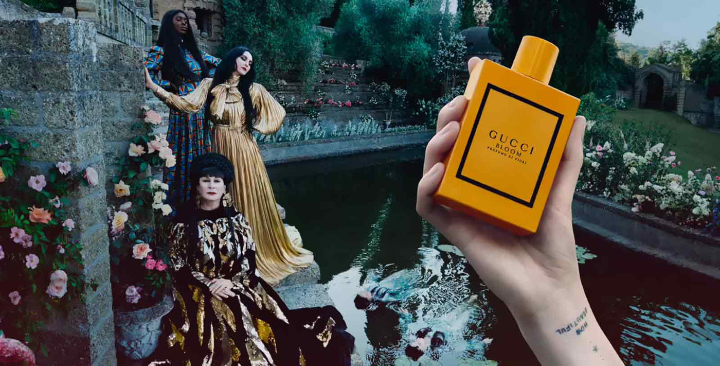 Gucci Perfume Cologne Collection Header