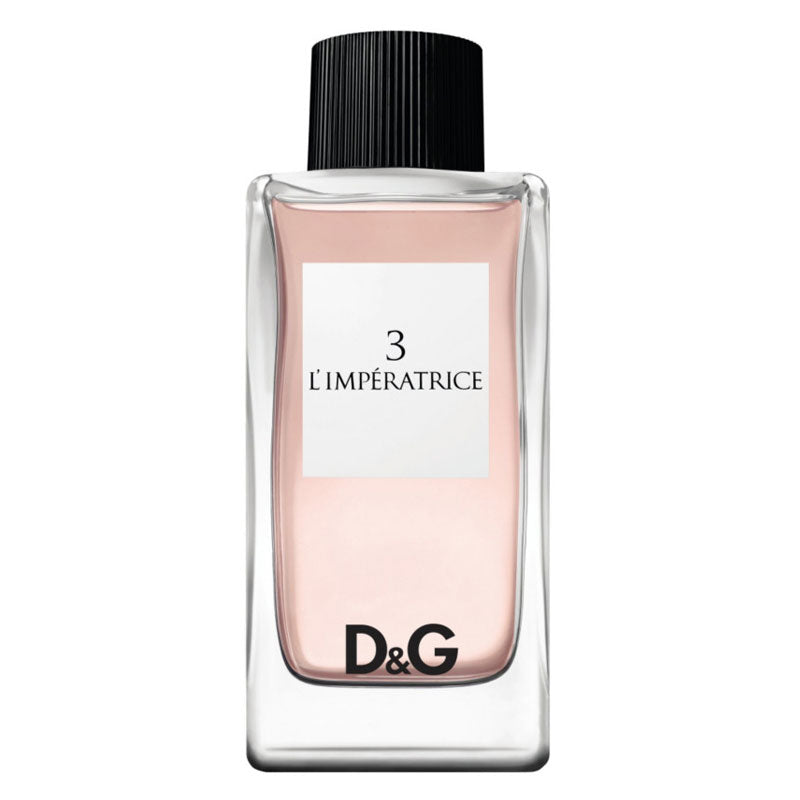 Image of D&G Anthology 3 L&